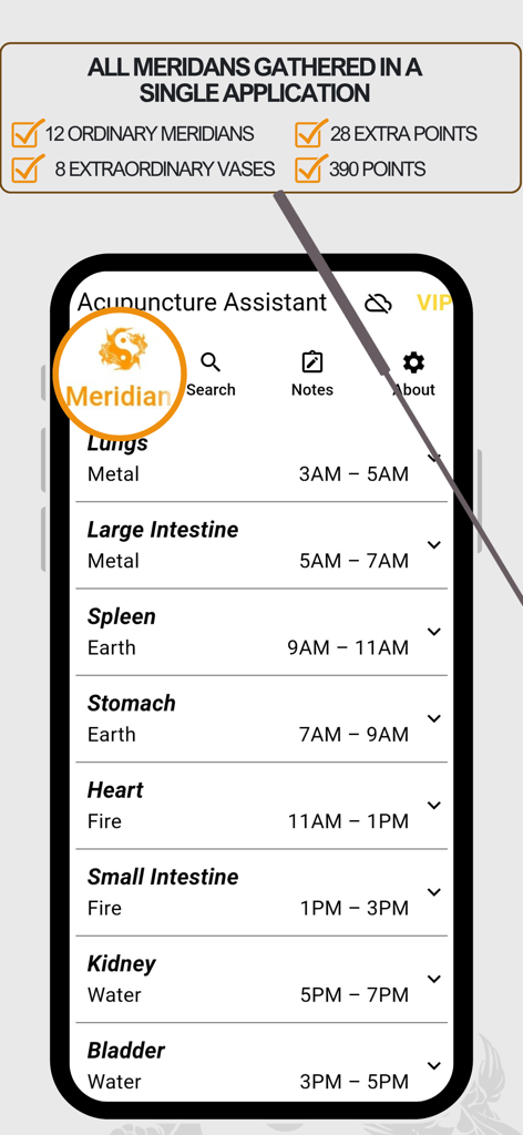Acupuncture Assistant - Interface of the Acupuncture Assistant app showing a list of meridians with their elements and daily time windows