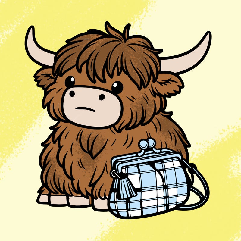 highland cow in a purse