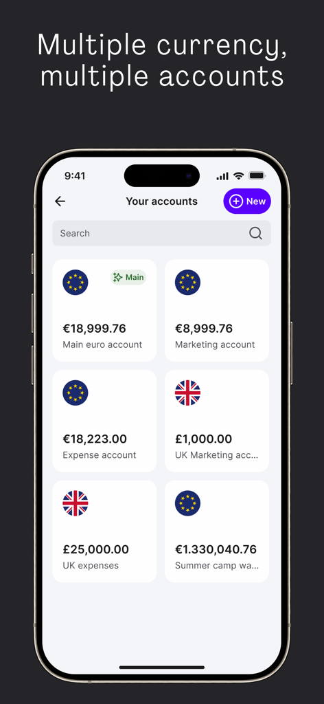 Wamo app interface showing multiple business accounts in Euro and GBP currencies