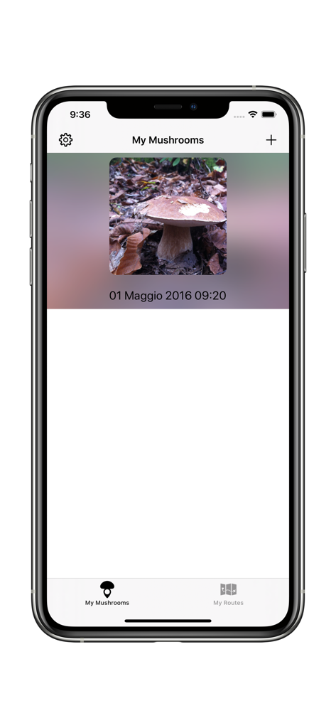 Track My Mushrooms - iPhone screen showing the My Mushrooms list with a logged mushroom entry including photo and date