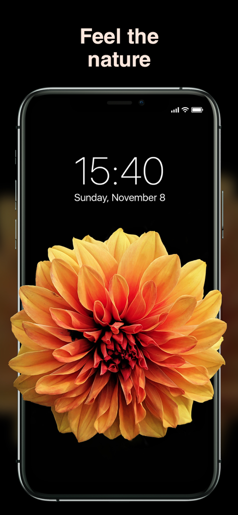 Best Wallpapers 4K - Uno sfondo di fiore arancione ad alta risoluzione visualizzato su una schermata di blocco iPhone.