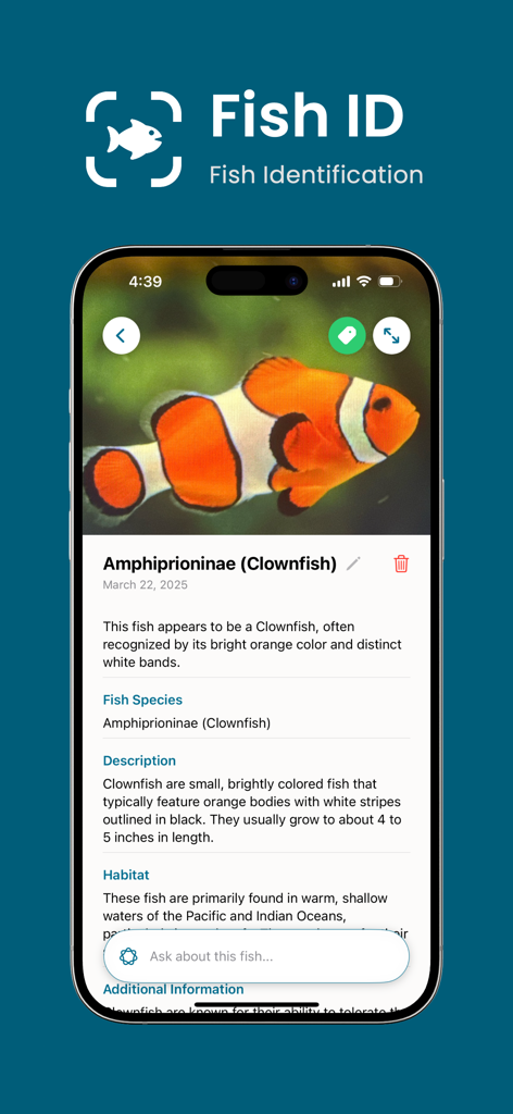 Fish Identifier AI: Fish ID - Fish ID app interface displaying identified clownfish with species details description and habitat information