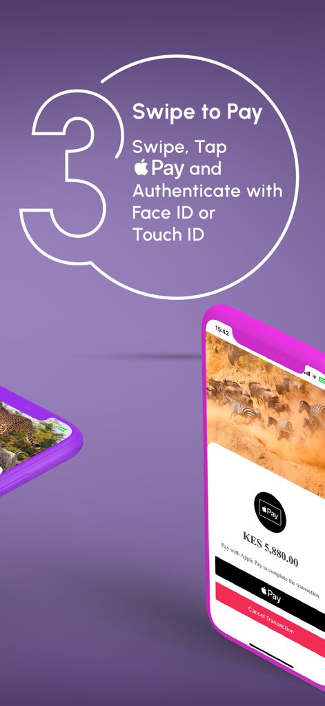 Tourist Tap - The third step of the Tourist Tap app interface showing how to swipe and pay using Apple Pay with Face ID authentication for a local transaction.