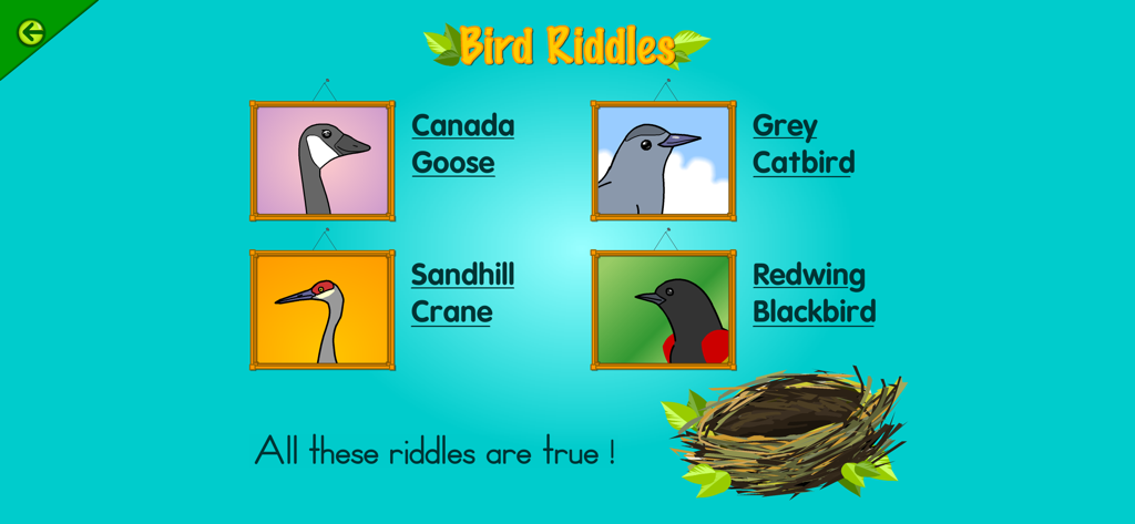 Bird riddles screen with illustrations of a Canada Goose, Grey Catbird, Sandhill Crane, and Redwing Blackbird in the Starfall app.