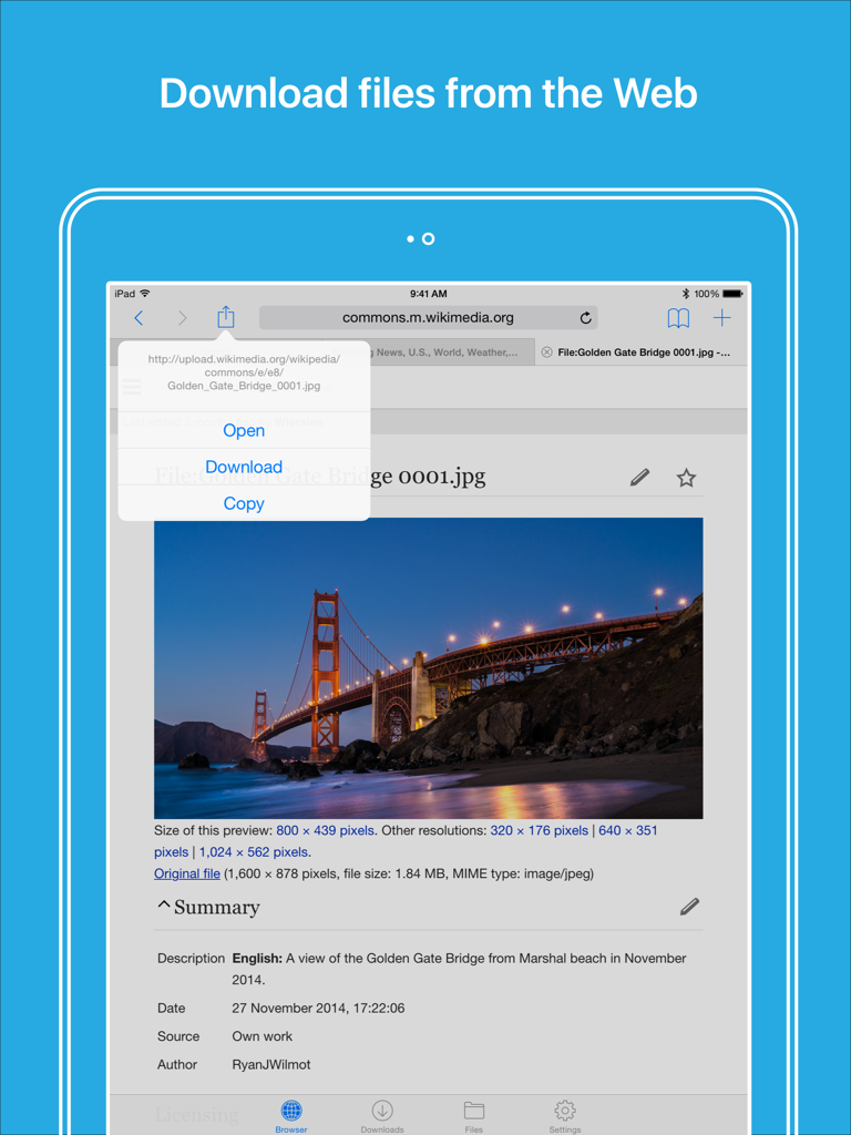 Files HD - File Manager - Files HD app on iPad showing web browser and download menu
