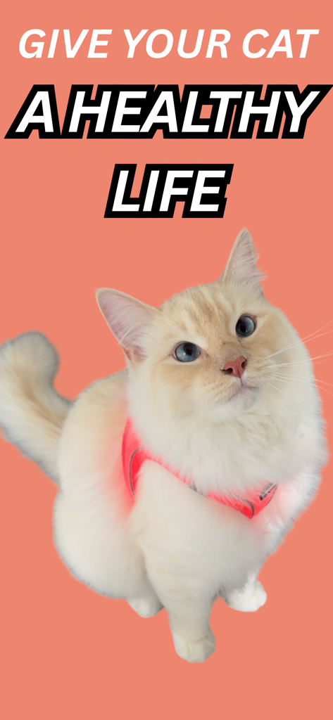 Cat Food Scanner - Leo - ピンクのハーネスを着たふわふわの白い猫と、愛猫に健康的な生活をというテキスト