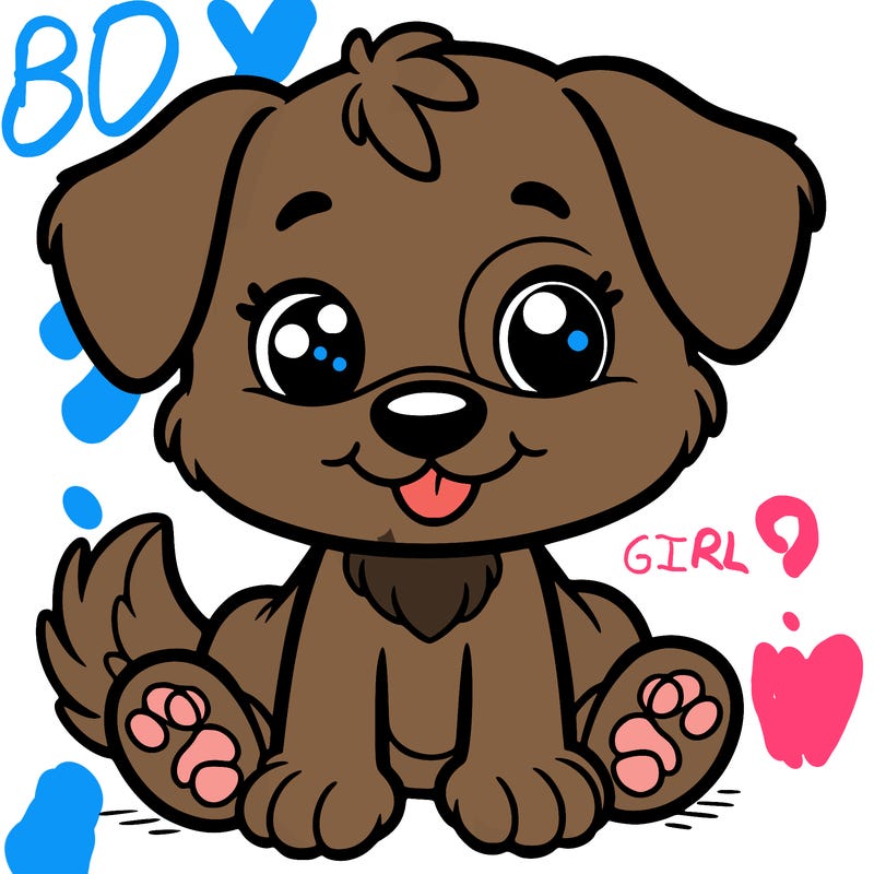 a cute dog