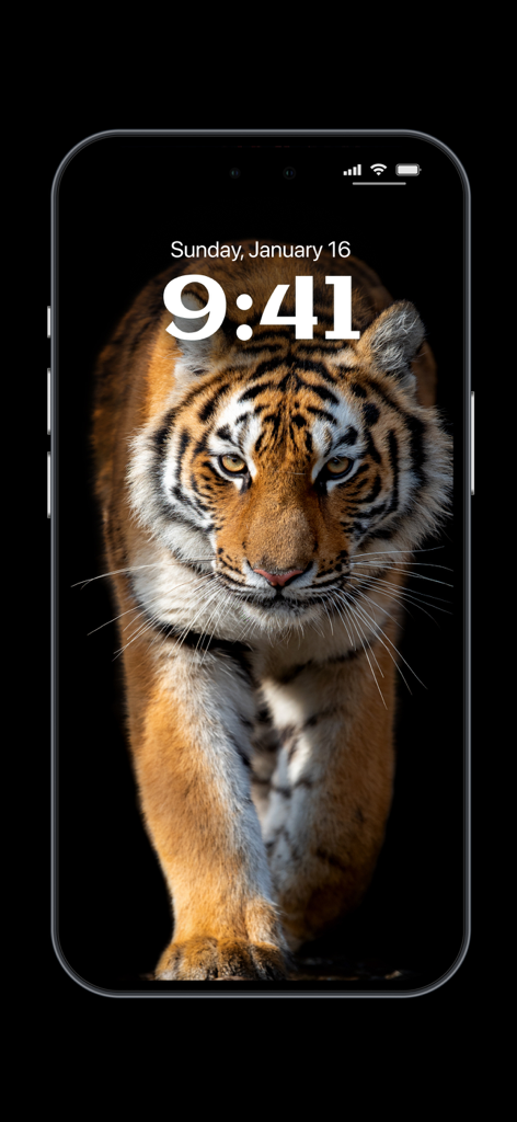Depth Wallpaper & Live Effect - iPhone lock screen showing a tiger with a depth effect wallpaper