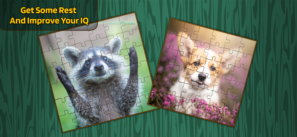 Jigsaw Puzzle : Logic Games - Digital jigsaw puzzles of a raccoon and a corgi puppy on a green wood background
