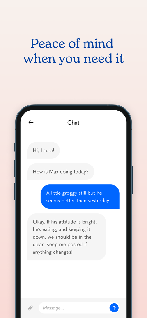 Airvet mobile app chat interface showing a conversation between a pet owner and a veterinarian providing medical guidance.