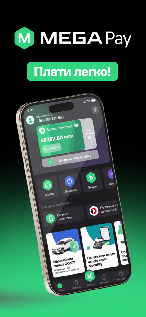 MegaPay mobile wallet interface showing account balance and financial services