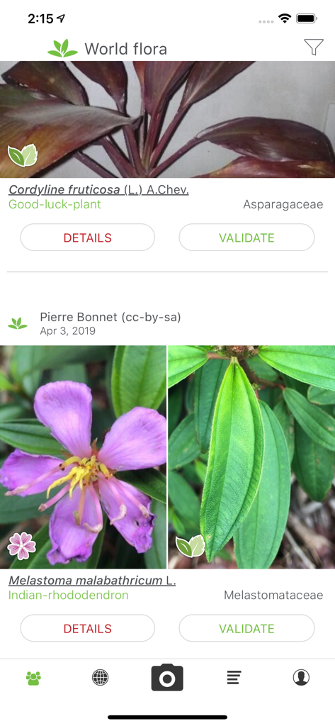 PlantNet - PlantNet mobile app screen showing identified plants with scientific names and photos