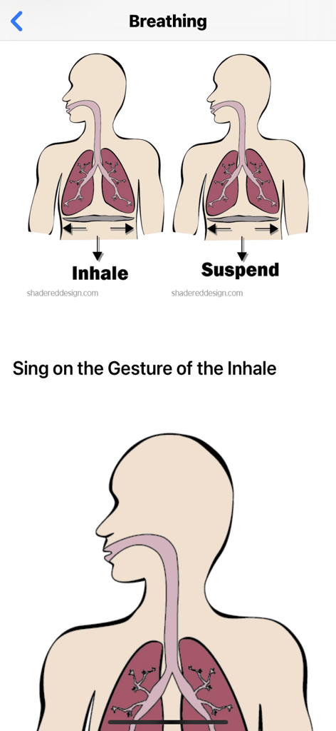 Vocal Tech - Anatomical diagrams in the Vocal Tech app illustrating inhale and suspend breathing techniques for singers