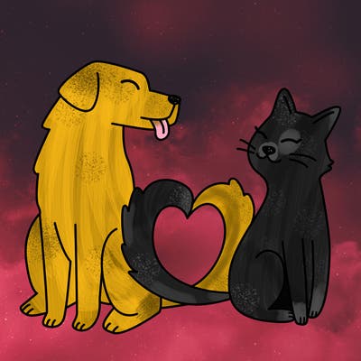 animals_22