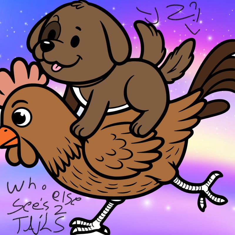 dog riding a chicken