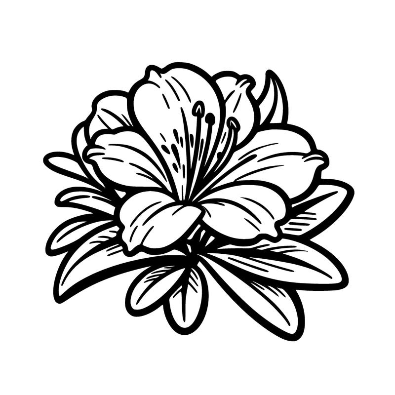 a azalea
