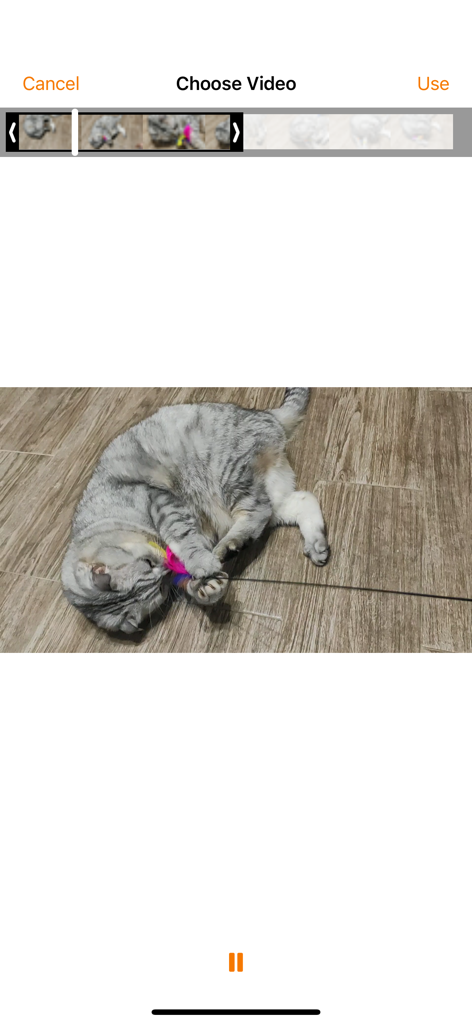 Pictello Visual Stories - Selecting and trimming a personal video of a cat within the Pictello app interface.