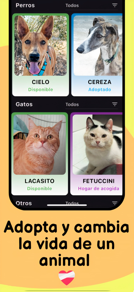 SocialPets-App-Oberfläche, die Hunde und Katzen zur Adoption anzeigt