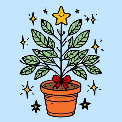 christmas plant