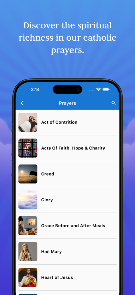 The Holy Rosary with voice - A list of Catholic prayers displayed in the Holy Rosary mobile application.
