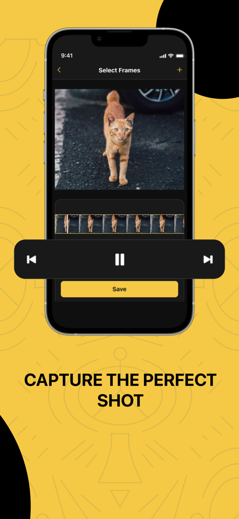 Oberfläche der Frame Grabber App, die einen aus einem Video extrahierten Bildausschnitt einer orangefarbenen Katze mit der Beschriftung "Capture the Perfect Shot" zeigt.
