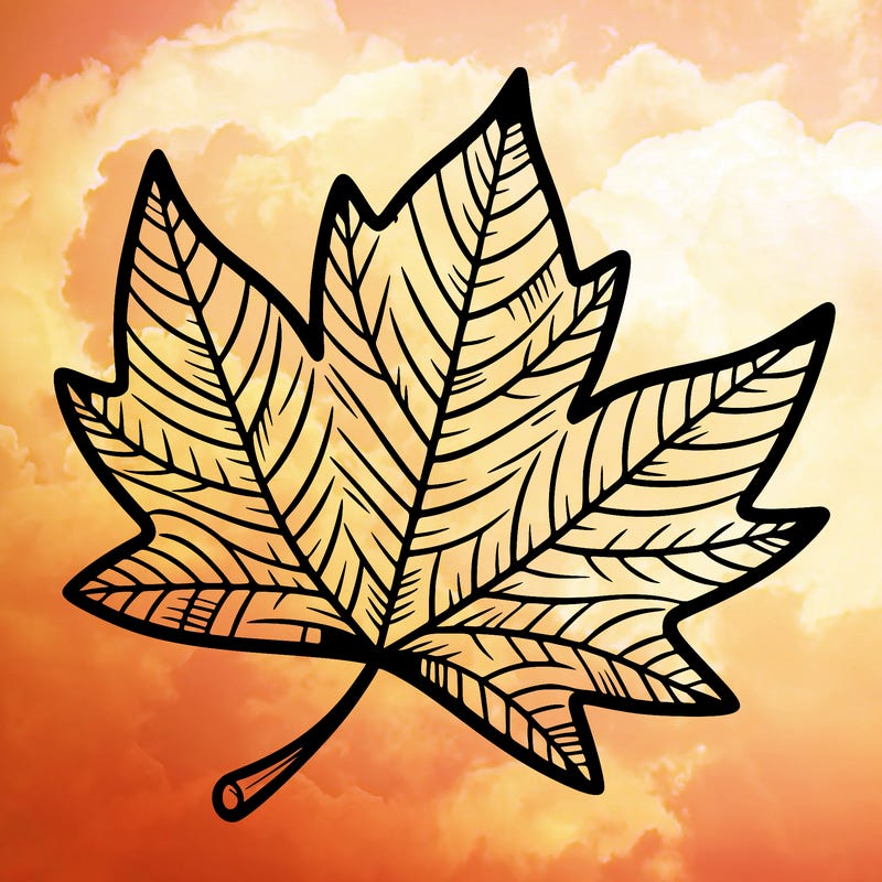 autumn leaf