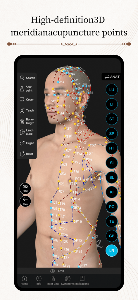 Acupuncture Master - Un modelo 3D que muestra puntos de acupuntura y líneas de meridianos en un cuerpo humano.
