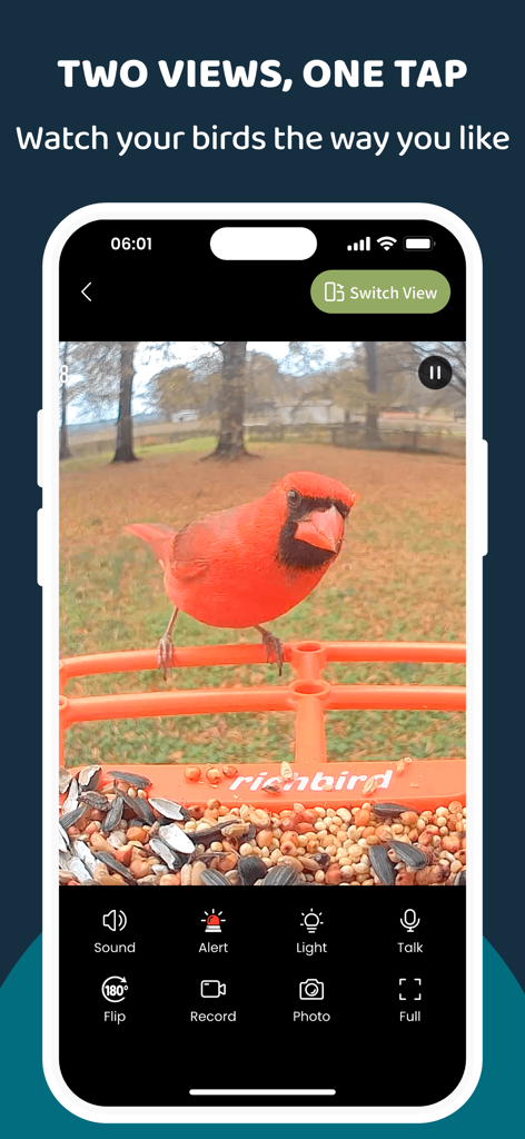 COOLFLY: Birding & Connection - Smartphone screen showing a live video feed of a red Northern Cardinal on a smart bird feeder with camera controls.