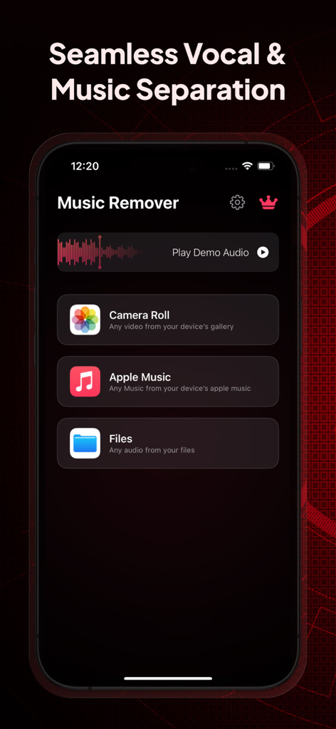 Vocal Remover Music Separator - Oberfläche der Music Remover App, die Optionen zum Importieren von Dateien aus der Kamerarolle, Apple Music und Dateien zur Vocal-Trennung anzeigt.