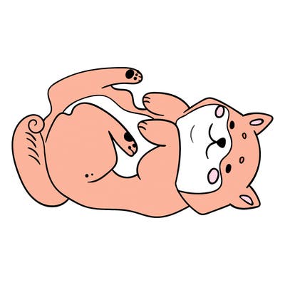 animals_30