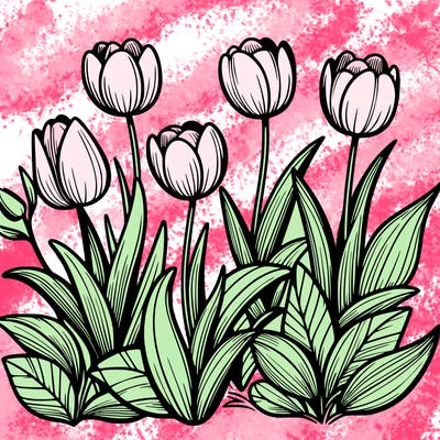 tulips
