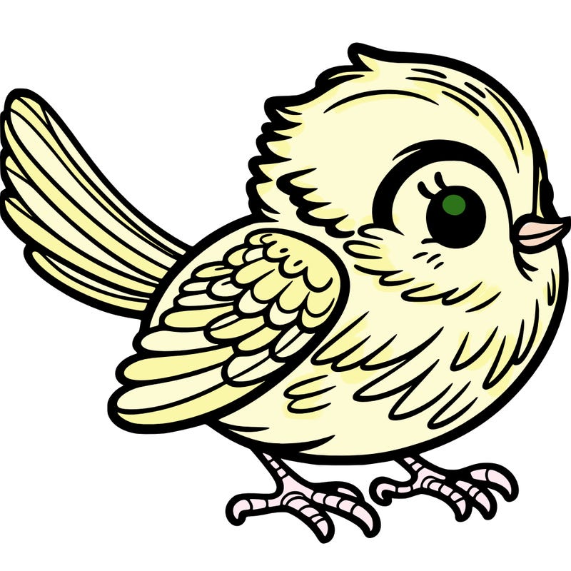 bird