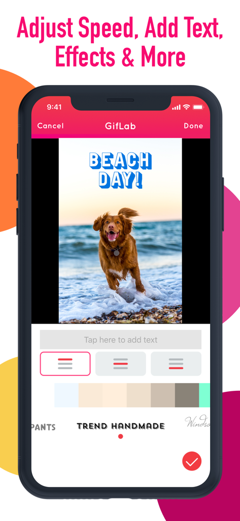 GifLab - GIF Maker & Editor - Interfaz de la aplicación GifLab mostrando herramientas de edición de texto con un perro en la playa y el texto Día de playa