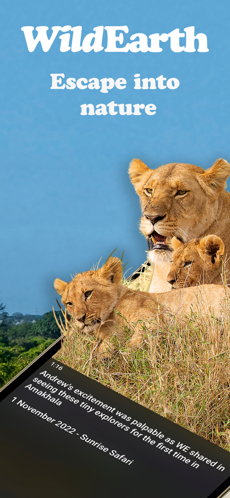 A lioness and her cubs in the grass with the WildEarth logo and the slogan Escape into nature