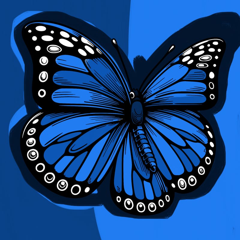 realistic butterfly