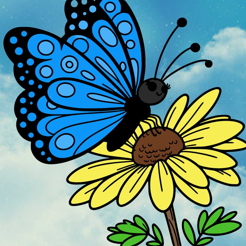 butterfly on a flower