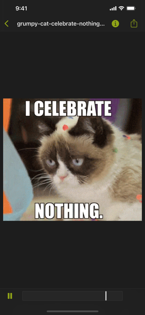 GIFwrappedアプリのインターフェース内で、Grumpy CatのCelebrate Nothingミームのプレビュー。