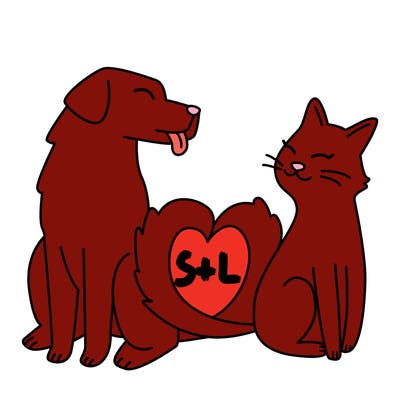 animals_22