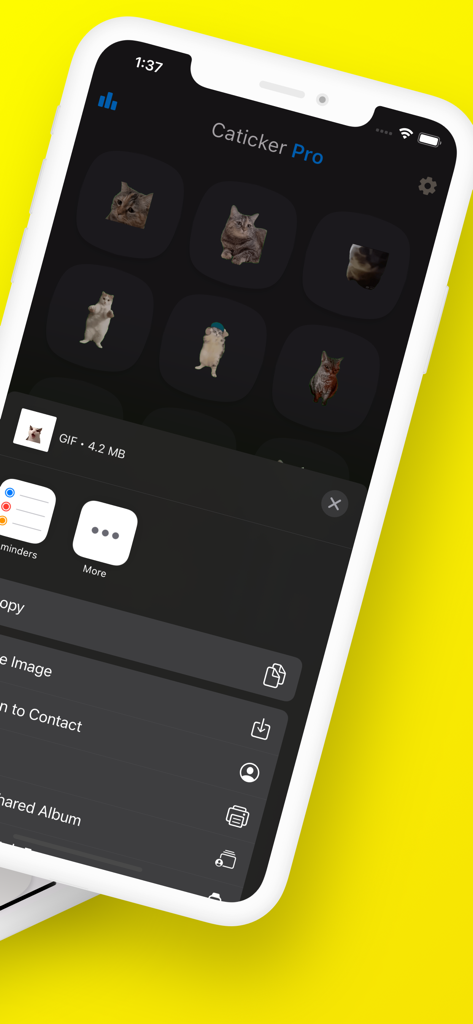 Cat Meme Stickers: Caticker - Caticker Pro app interface displaying various cat meme stickers and the mobile share menu