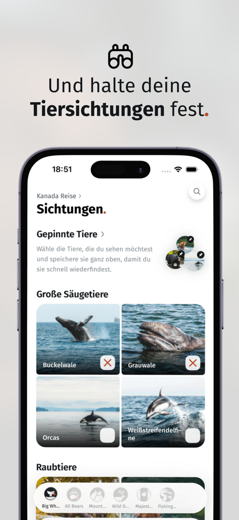 Wildful Stories: Roadtrip App - Interfaz de la aplicación Wildful Stories que muestra un registro de avistamientos de vida silvestre para rastrear grandes mamíferos marinos como ballenas jorobadas y orcas