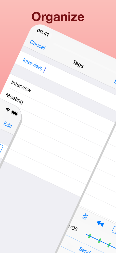 Audio Memos Pro - Organizing audio memos with custom tags for interviews and meetings
