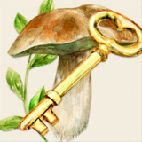 Mushrooms app - App Icon