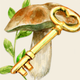 Mushrooms app
