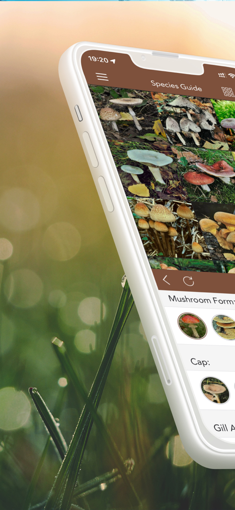 Schermata dello smartphone che mostra la guida delle specie e i filtri di ricerca per l'identificazione dei funghi.