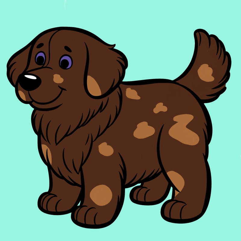 dog