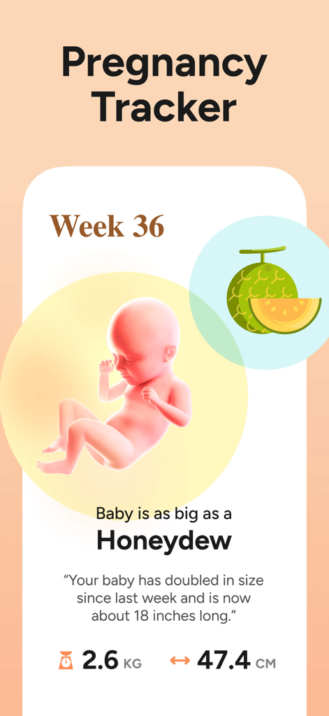 Pregnancy tracker interface showing week 36 baby size comparison to a honeydew melon
