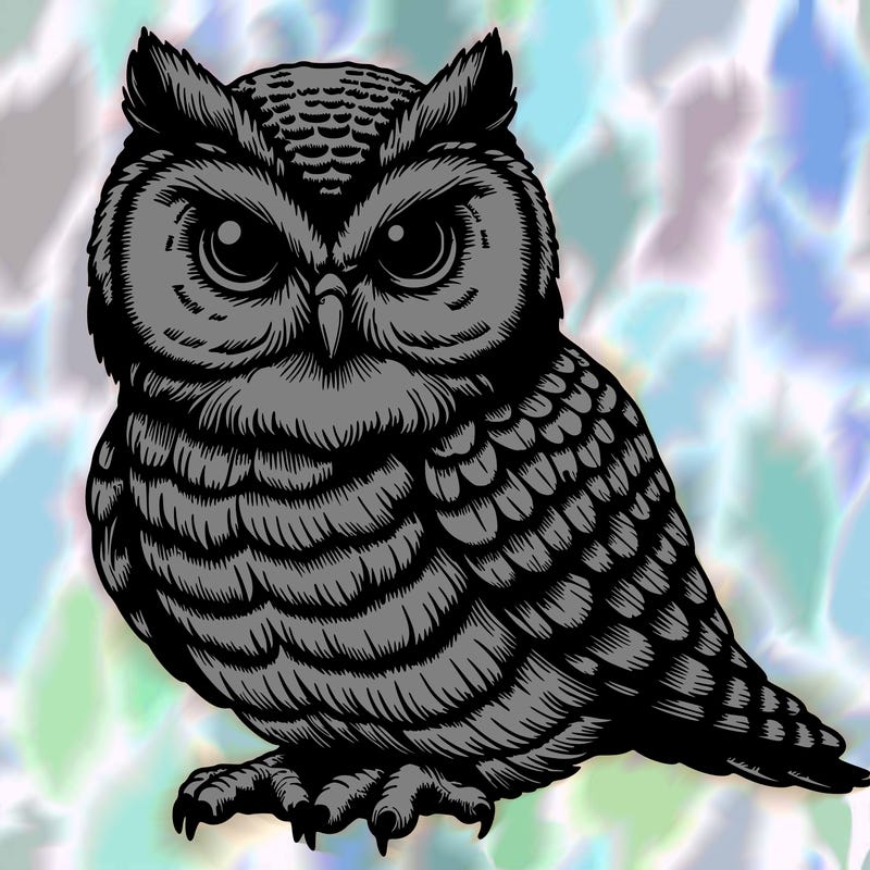 owl  realistic