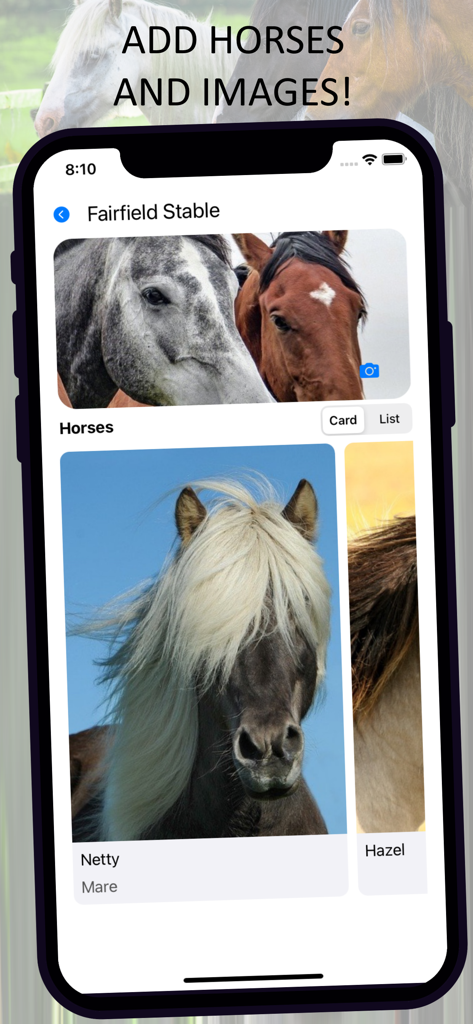 My Stable - Screenshot of My Stable app horse collection showing profiles of horses named Netty and Hazel with their photos