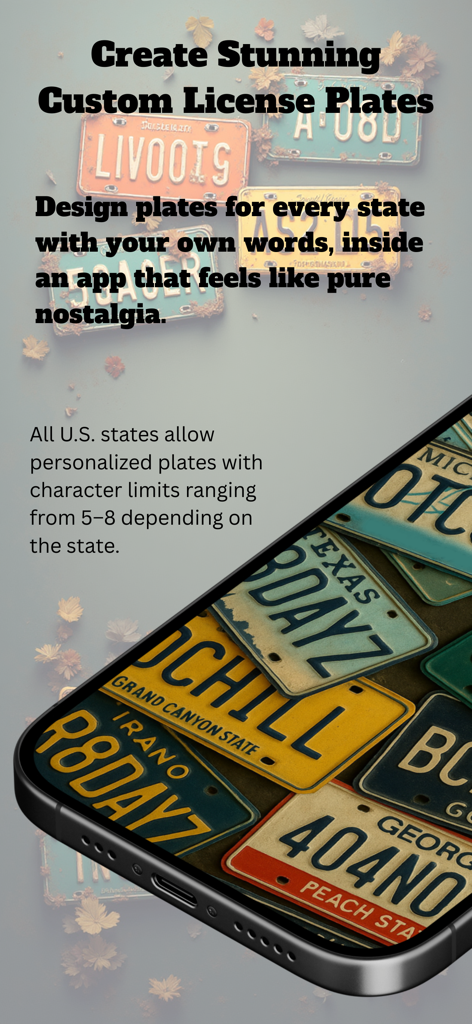 Plate Picasso! - Interfaz de la aplicación Plate Picasso mostrando sugerencias de matrículas personalizadas para varios estados de EE. UU.