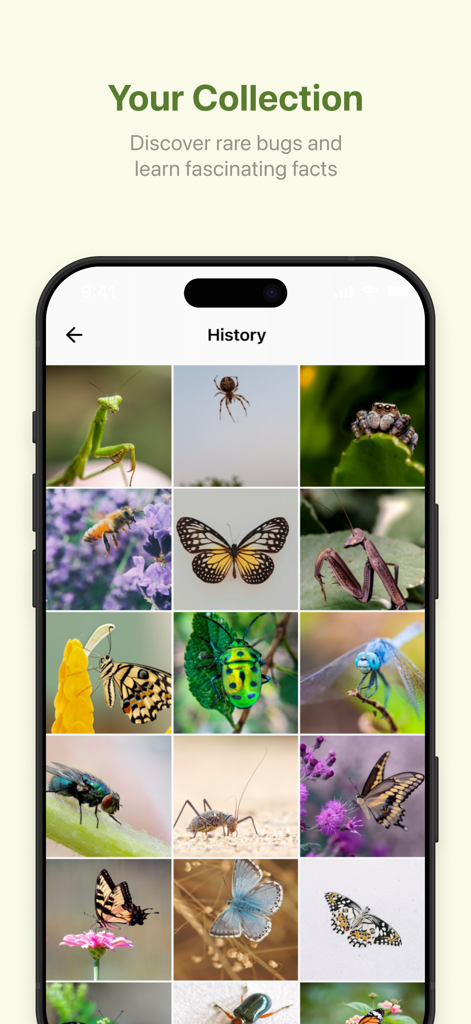 Picture insect - AI Identifier - Una pantalla móvil que muestra la función de colección personal de insectos de la aplicación Picture Insect con una cuadrícula de fotos de insectos identificados